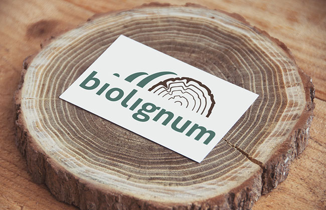 Realizzazione Branding aziendale per Biolignum